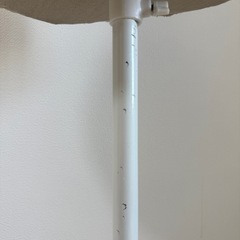 トルソー・レディースの画像