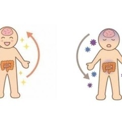 脳と腸のヨガ体験会