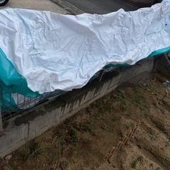 家庭用プール子供用
の画像