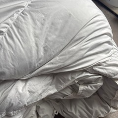 羽毛掛け布団　シングルの画像