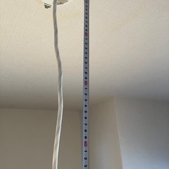 【お渡し決まりました 】照明の画像