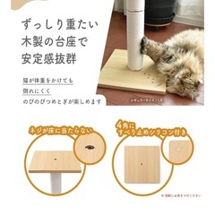 猫壱　爪とぎポール　爪とぎの画像
