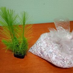 GEX ガラス水槽＋オプション品一式 20cm エアー 金魚飼育の画像