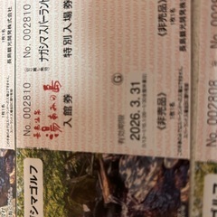 ナガシマスパーランド➕湯あみの湯温泉入場券3枚セットの画像