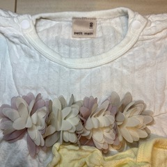 プティマイン　80トップスの画像