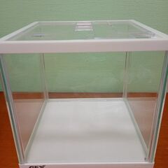 GEX ガラス水槽＋オプション品一式 20cm エアー 金魚飼育の画像