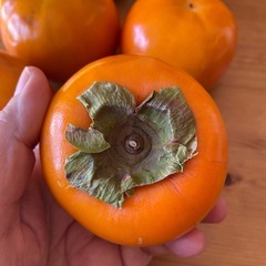 富有柿6個セットの画像