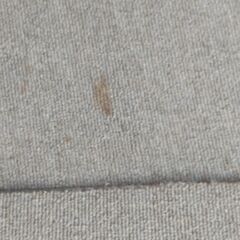 タイルカーペット。中古。の画像