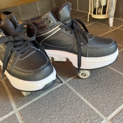 ローラー付きシューズの画像