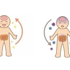 腸と脳のヨガ体験会