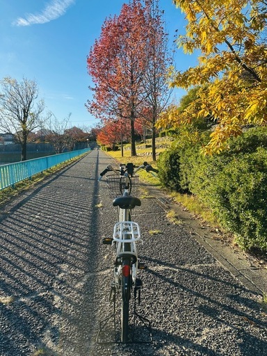 電動自転車 / ホワイト / 8.5Ahバッテリー / 40km走行可能