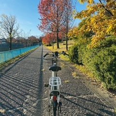 電動自転車 / ホワイト / 8.5Ahバッテリー / 40km走行可能の画像