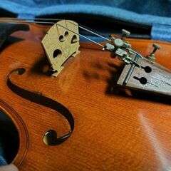 ローターゼムリンガー702 ヴァイオリンの画像