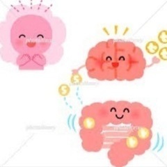 腸と脳のヨガ体験会 - 明石市
