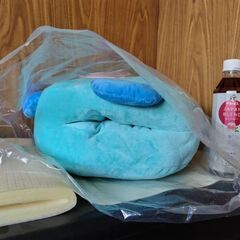 ハンギョドン　クッションの画像