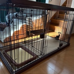 サークル犬
の画像