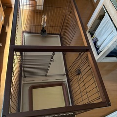 サークル犬
の画像