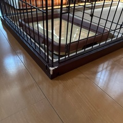 サークル犬
の画像