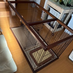 サークル犬
の画像