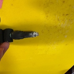 ボディーボードの画像