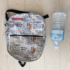 ポケモン　リュックの画像