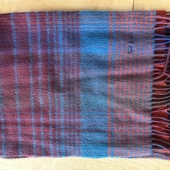 マフラーの画像