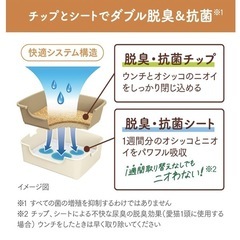 猫トイレ システムトイレ ニャンとも清潔トイレ 本体セット　一式の画像