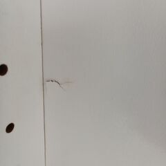 ★リユースのサカイ日立店★HJ8536 NITORI レンジボード ホワイト H190.5×D50.5×W59 クリーニング済み の画像