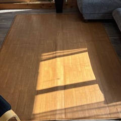 ホットカーペットの画像