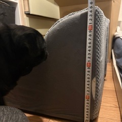 ペット スロープ2つの画像