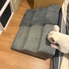 ペット スロープ2つの画像