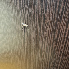 ジモティー特別価格🉐 N1221★フリーラック★シェルフ★幅905mmの画像