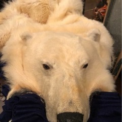 白熊　敷物　美品の画像