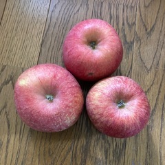 家庭用りんごフジ3個①決定の画像