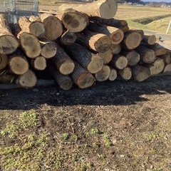 薪　原木　広葉樹　丸太　の画像