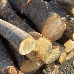 薪　原木　広葉樹　丸太　の画像