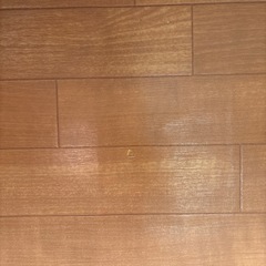 ホットカーペットの画像