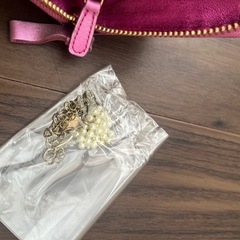 サバンサタバサ財布差し上げますの画像