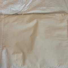 無印良品 防ダニ 羽毛掛ふとん 二層式 薄型の画像