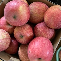 家庭用りんごフジ3個①決定の画像