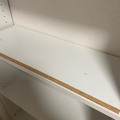 13日、14日、17日 棚の画像