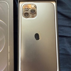 iPhone12Pro  256GB  の画像