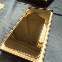 iPhone12Pro  256GB  の画像