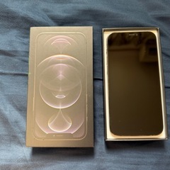 iPhone12Pro  256GB  の画像