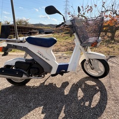 スズキ　スーパーモレ実働
の画像