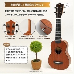 美品【YouTubeで人気！ガズレレウクレレ】ウクレレ本2冊プレゼント（2,000円相当）の画像