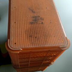 【激安】収穫コンテナ  ６個セット！野菜 果物 保管用 の画像