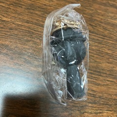 スプランキー ブラック(フェーズ1)(フェーズ2もあります)の画像