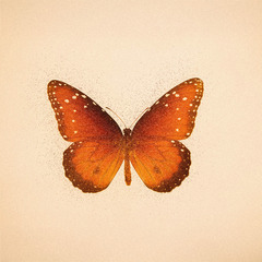 女性ボーカル募集【オルタナ系】