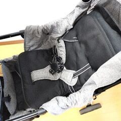 【美品！】二人乗りベビーカーの画像